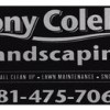 Tony Colella Landscaping