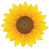 Top Green Cleaning Services & Products