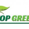 Top Green Landscaping
