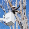 Top Notch Tree Svc