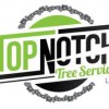 Top Notch Tree Service