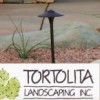 Tortolita Landscaping