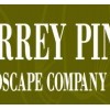 Torrey Pines Landscape