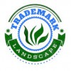 Trademark Landscape