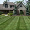 Treadway's Lawncare & Landscaping