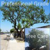 SD Tree Care
