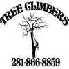 Tree Climbers Tree Service