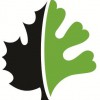Treeconsult