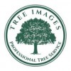 Tree Images