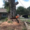 Joe's Tree Service & Landscaping
