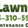 Tree Lawn Care