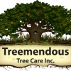 Treemendous Tree Care