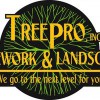 Tree Pro