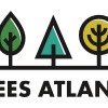 Trees Atlanta