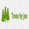 Trees By Joe