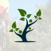 Tree Service Arlington