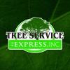 Tree Service Express