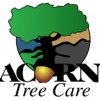 Acorn Tree Care