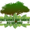 Tree Service Fort Worth