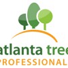 Tree Service Marietta