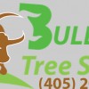 Bull's Tree Service