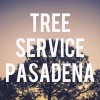 Tree Service Pasadena