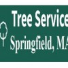 Tree Service Springfield MA