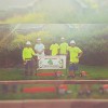 Tyler Tree Service