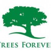 Trees Forever