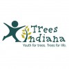 Trees Indiana