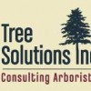 Tree Solutions