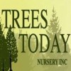 Trees Today Nursery