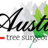 Tree Surgeons Of Austin