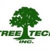 Tree Tech