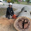 Tom's Tree Service