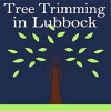 Tree Trimming In Lubbock