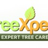 TreeXpert Atlanta