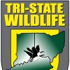 Tri-State Wildlife Management
