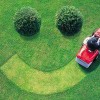 Triangle Lawn Specialists