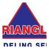 Triangle Remodeling Service