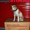 Triangle Storage