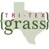 Tri-Tex Grass