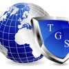 Triton Global Services