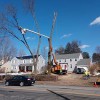 Trout Brook Landscaping