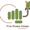 True Scape Designs