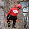TrueTimber Tree Service
