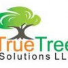 True Tree Solutions
