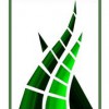 Turf By Design