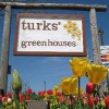 Turks' Greenhouses