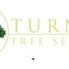Turney Tree Services